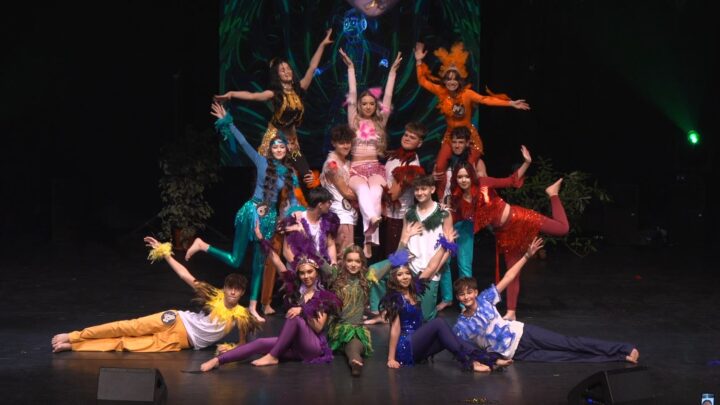 „În căutarea măștii pierdute”, la Balul Bobocilor de la Colegiul de Artă „Ciprian Porumbescu”