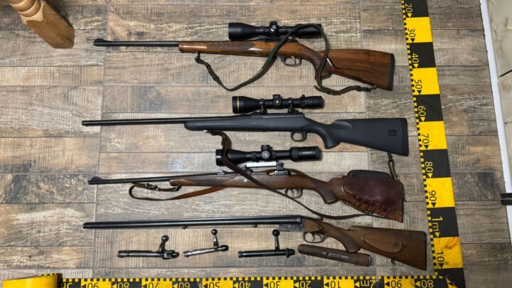 Arme de vânătoare și capcane pentru vânat, ridicate de polițiști de la un grup de vânători care ar fi participat la braconaj