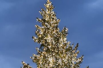 Pomul de Crăciun din centrul Sucevei va fi aprins seară de seară de diverși invitați