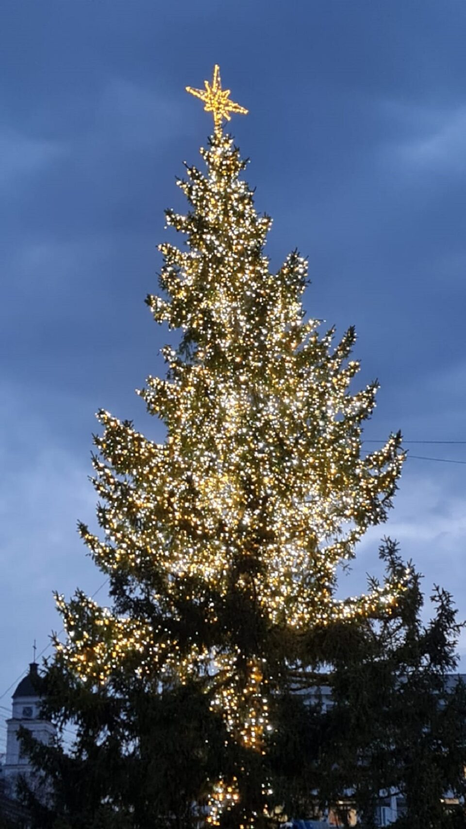 Pomul de Crăciun din centrul Sucevei va fi aprins seară de seară de diverși invitați