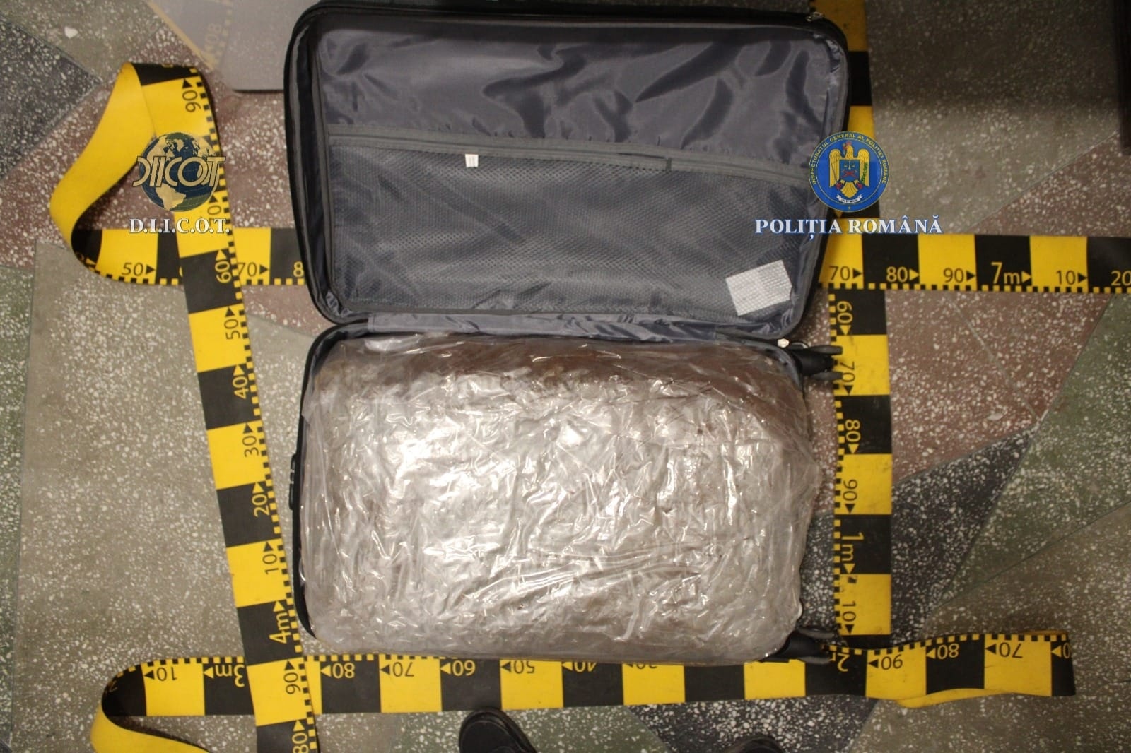 Flagrant la 31 de kilograme de canabis, în apropiere de limita dintre Botoșani și Suceava