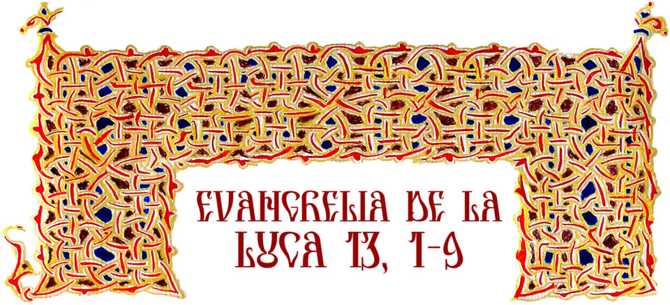 Evanghelia zilei Evanghelia zilei