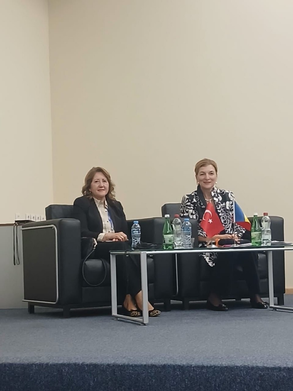 Cooperarea medicală europeană, promovată de prof. univ. dr. Roxana Filip într-o conferință internațională la Tbilisi