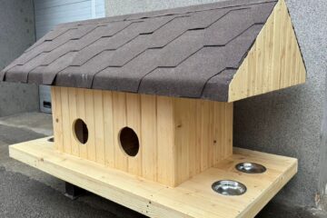 Căsuțe pentru pisici vor fi amplasate de Primăria Suceava pe străzi