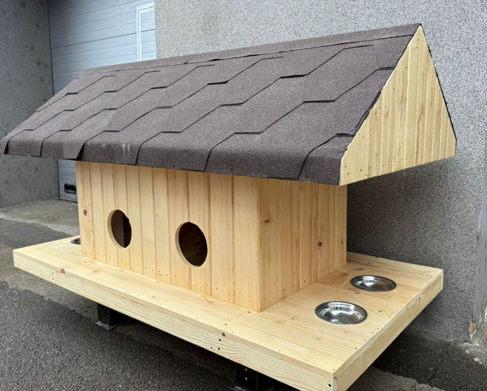 Căsuțe pentru pisici vor fi amplasate de Primăria Suceava pe străzi