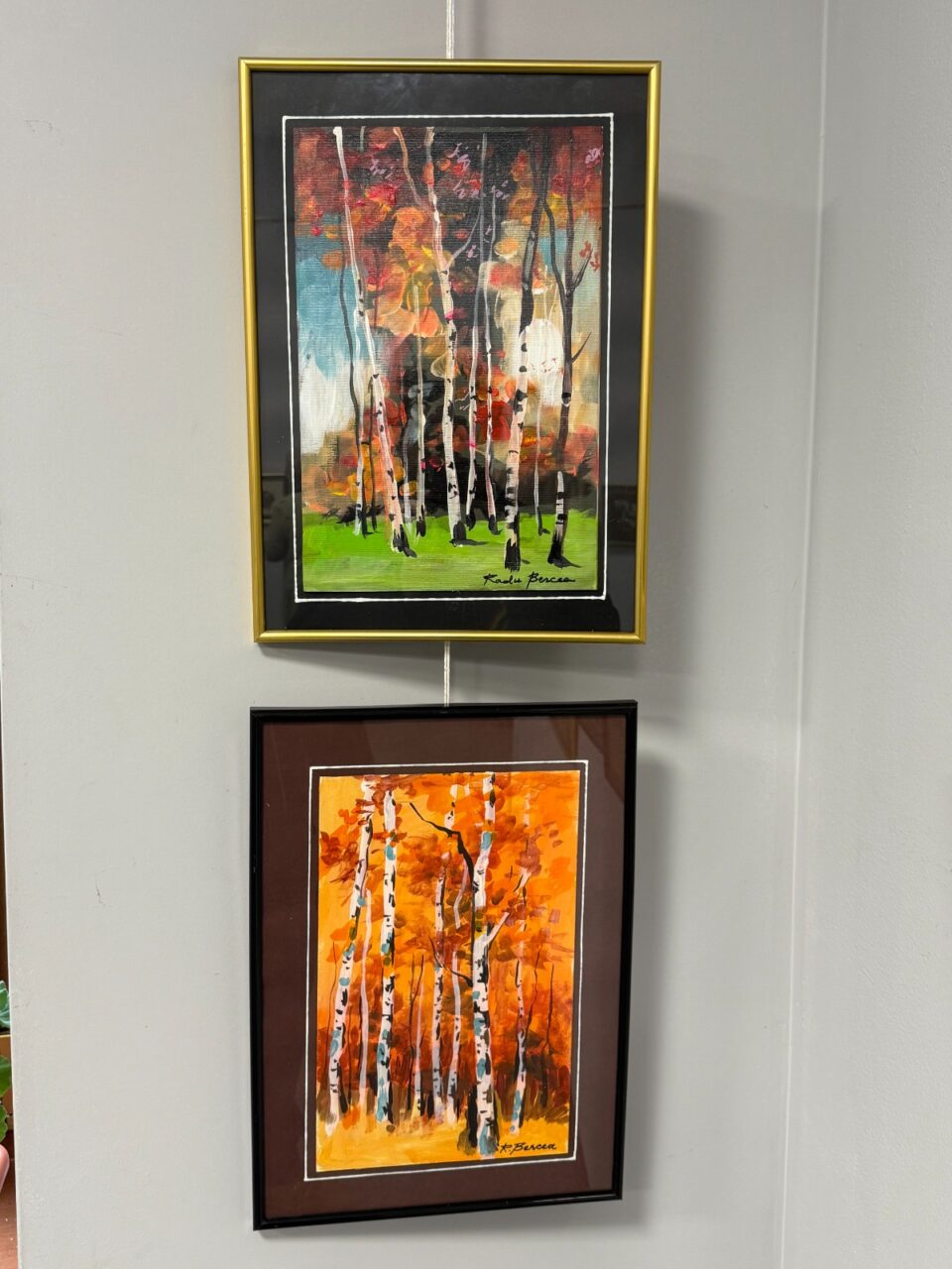 Expoziție dedicată Zilei Bucovinei, lansată de artistul Radu Bercea sub denumirea „Culorile Bucovinei”, la Gura Humorului