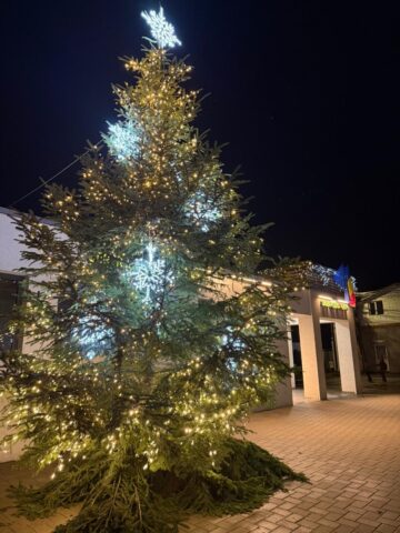 Uite bradul de Crăciun, nu e bradul de Crăciun!