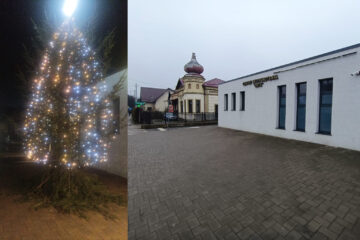 Uite bradul de Crăciun, nu e bradul de Crăciun! Uite bradul de Crăciun, nu e bradul de Crăciun!