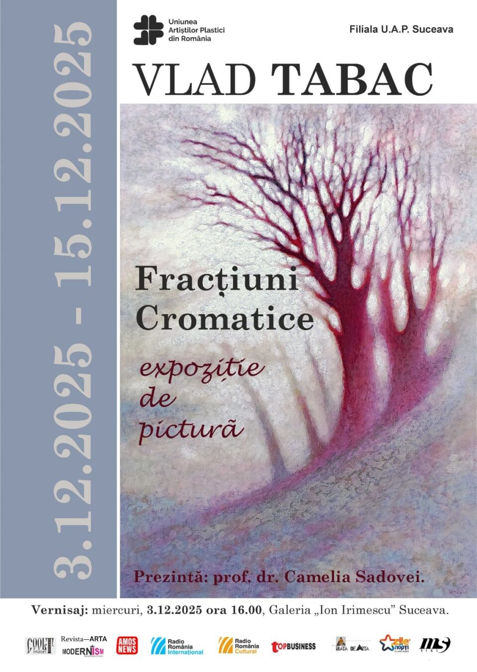 Expoziția de pictură „Fracțiuni Cromatice”, de Vlad Tabac, la Galeria de Artă „Ion Irimescu” Suceava
