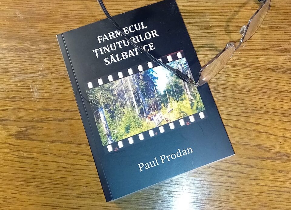 Așa prind viață cărțile, filmele…