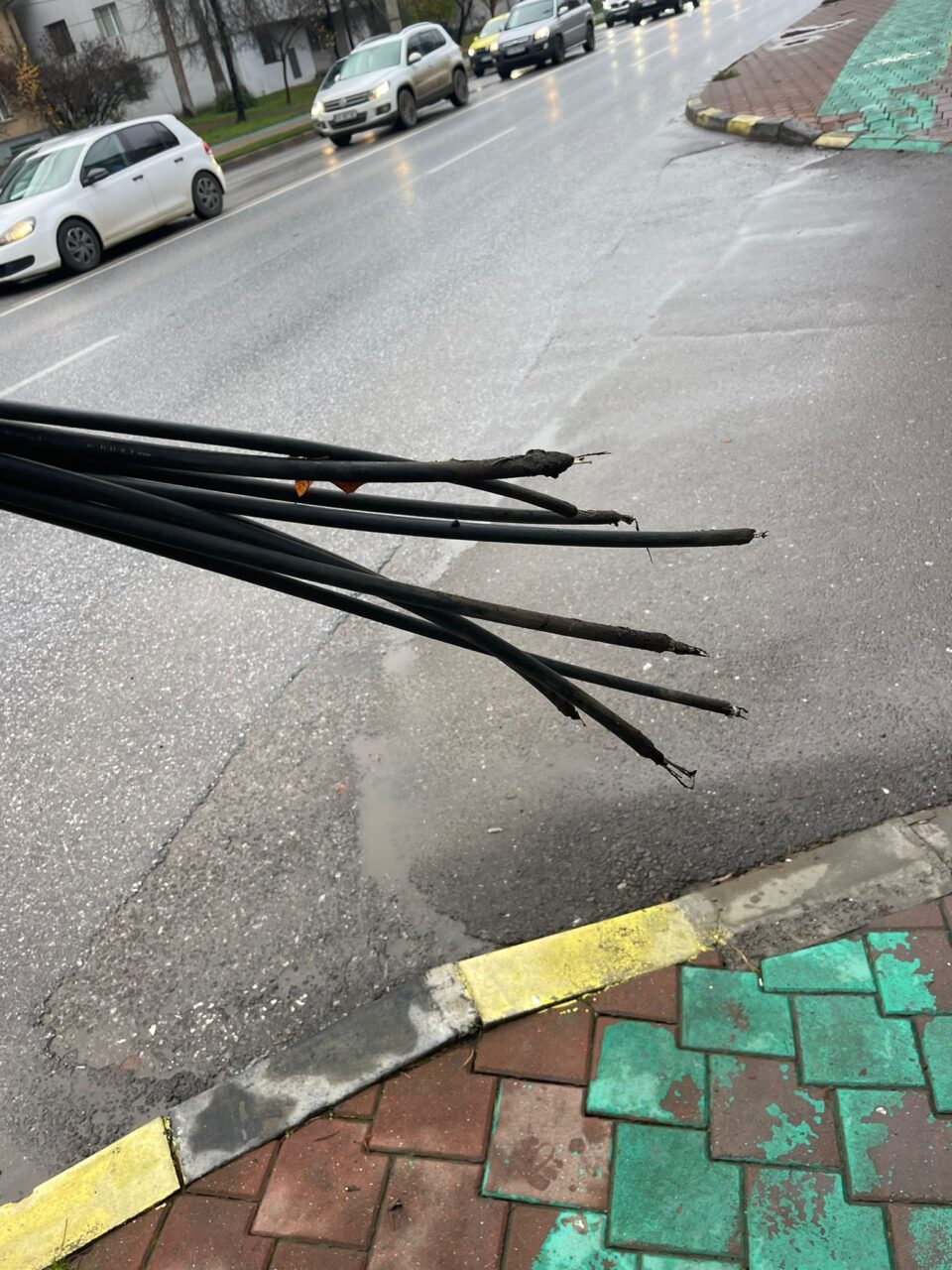 Primăria Suceava a început tăierea cablurilor aeriene nerevendicate Primăria Suceava a început tăierea cablurilor aeriene nerevendicate