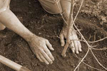 „Unde-i biblioteca?”