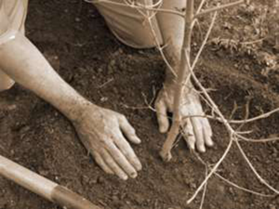 „Unde-i biblioteca?”