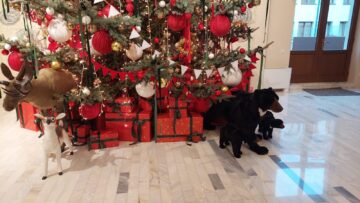 Expoziție cu obiecte realizate de persoane cu dizabilități și momente artistice, în campania „Deschide ochii, deschide inima”