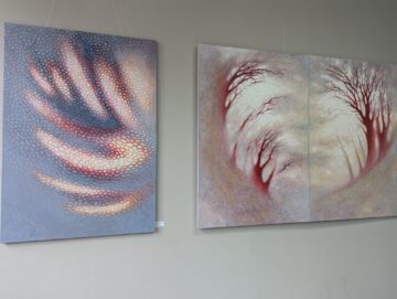 Camelia Sadovei: „Mesajul vizual propus de artistul Vladimir Tabac este unul asumat, profesionist și matur, destinat unui dialog cultural de ținută”