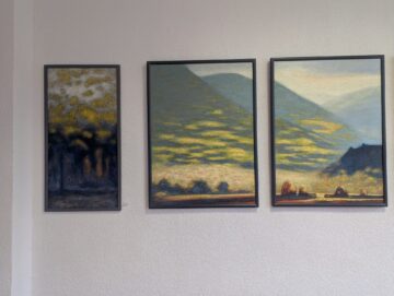 Camelia Sadovei: „Mesajul vizual propus de artistul Vladimir Tabac este unul asumat, profesionist și matur, destinat unui dialog cultural de ținută”