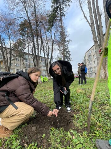 Fălticeniul devine mai verde: 400 de puieți plantați în cea mai amplă acțiune ecologică din ultimii ani