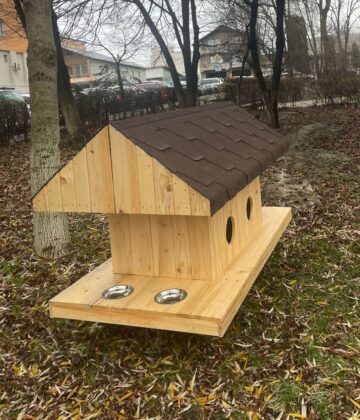 Primele 10 căsuțe pentru pisici comunitare au fost amplasate vineri de Primăria Suceava