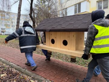 Primele 10 căsuțe pentru pisici comunitare au fost amplasate vineri de Primăria Suceava