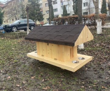 Primele 10 căsuțe pentru pisici comunitare au fost amplasate vineri de Primăria Suceava