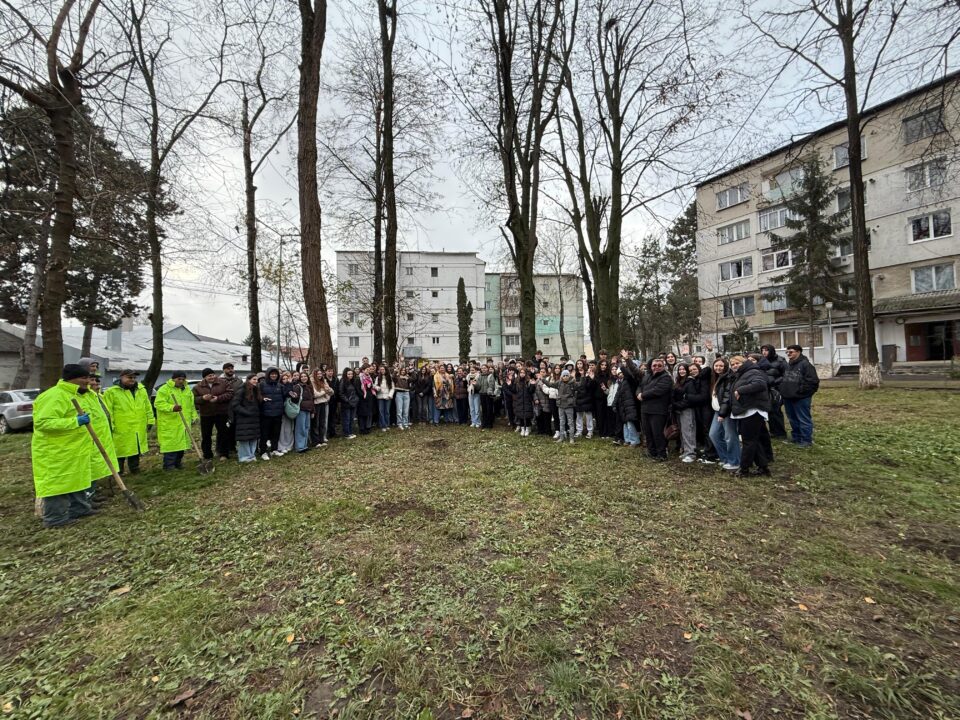 Fălticeniul devine mai verde: 400 de puieți plantați în cea mai amplă acțiune ecologică din ultimii ani