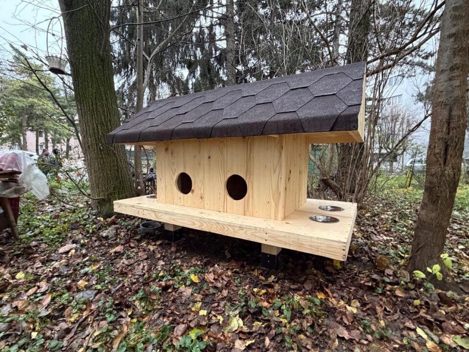 Primele 10 căsuțe pentru pisici comunitare au fost amplasate vineri de Primăria Suceava