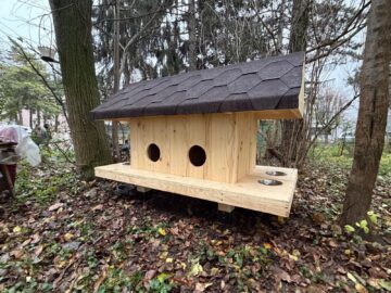 Primele 10 căsuțe pentru pisici comunitare au fost amplasate vineri de Primăria Suceava