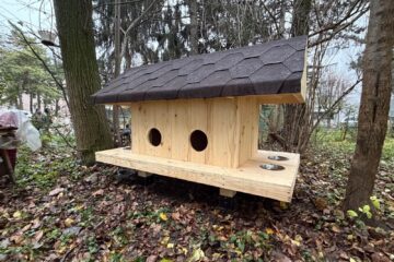 Primele 10 căsuțe pentru pisici comunitare au fost amplasate vineri de Primăria Suceava