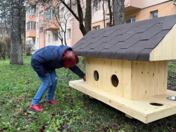 Primele 10 căsuțe pentru pisici comunitare au fost amplasate vineri de Primăria Suceava