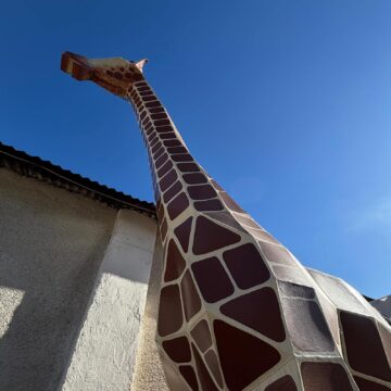 Creșa din Siret va fi finalizată luna viitoare