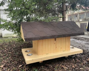 Primele 10 căsuțe pentru pisici comunitare au fost amplasate vineri de Primăria Suceava
