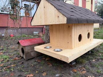 Primele 10 căsuțe pentru pisici comunitare au fost amplasate vineri de Primăria Suceava