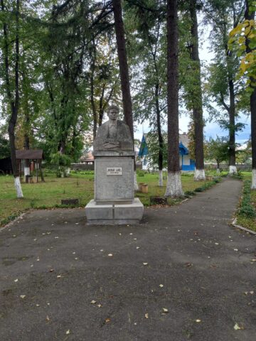 Sesiunea Omagială „Nicolae Labiș – 90 de ani de la naștere”, la Academia Română