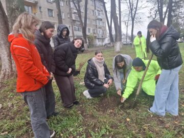 Fălticeniul devine mai verde: 400 de puieți plantați în cea mai amplă acțiune ecologică din ultimii ani