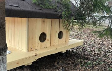 Primele 10 căsuțe pentru pisici comunitare au fost amplasate vineri de Primăria Suceava