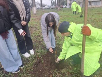 Fălticeniul devine mai verde: 400 de puieți plantați în cea mai amplă acțiune ecologică din ultimii ani