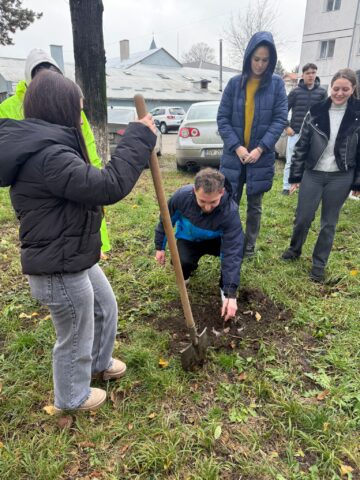 Fălticeniul devine mai verde: 400 de puieți plantați în cea mai amplă acțiune ecologică din ultimii ani