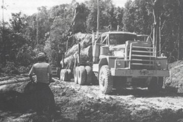 „Munca forestierilor”