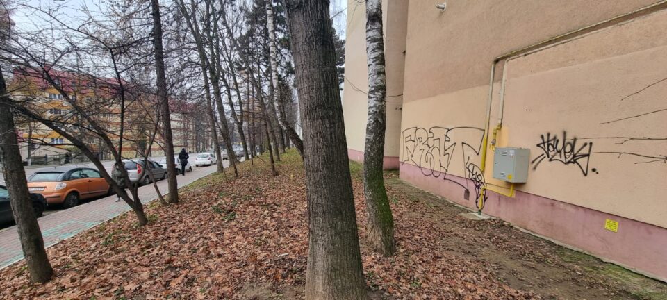 Un minor a luat la rând blocuri din Suceava și le-a mâzgălit. A fost prins, amendat, dar locatarii așteaptă și refacerea fațadelor