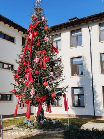 Deschiderea parcului „Brăduțul” din Moldovița, de Moș Nicolae