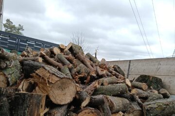 Lemne de foc distribuite de Primăria Suceava pentru 20 de familii cu posibilități materiale reduse Lemne de foc distribuite de Primăria Suceava pentru 20 de familii cu posibilități materiale reduse