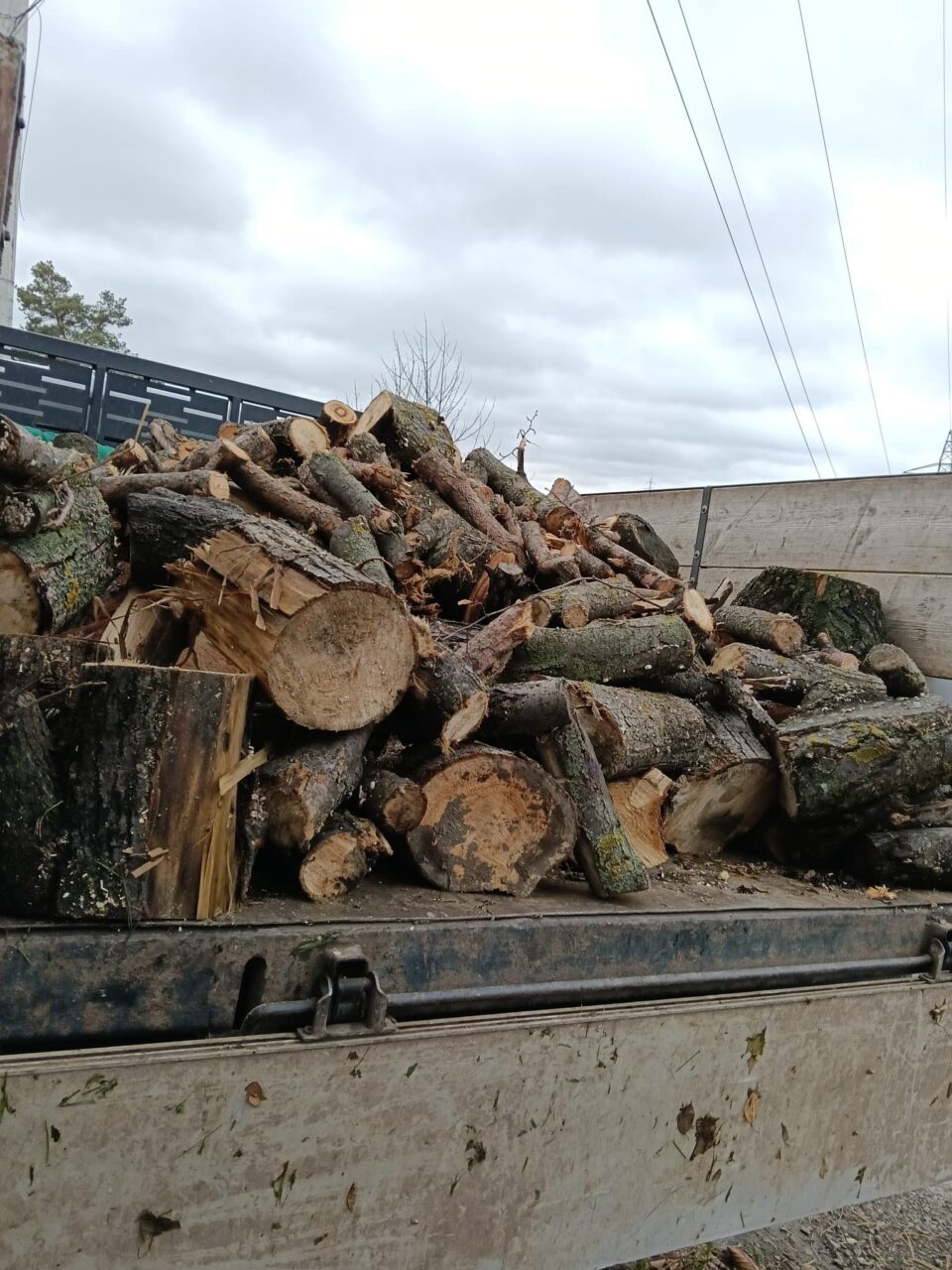 Lemne de foc distribuite de Primăria Suceava pentru 20 de familii cu posibilități materiale reduse Lemne de foc distribuite de Primăria Suceava pentru 20 de familii cu posibilități materiale reduse