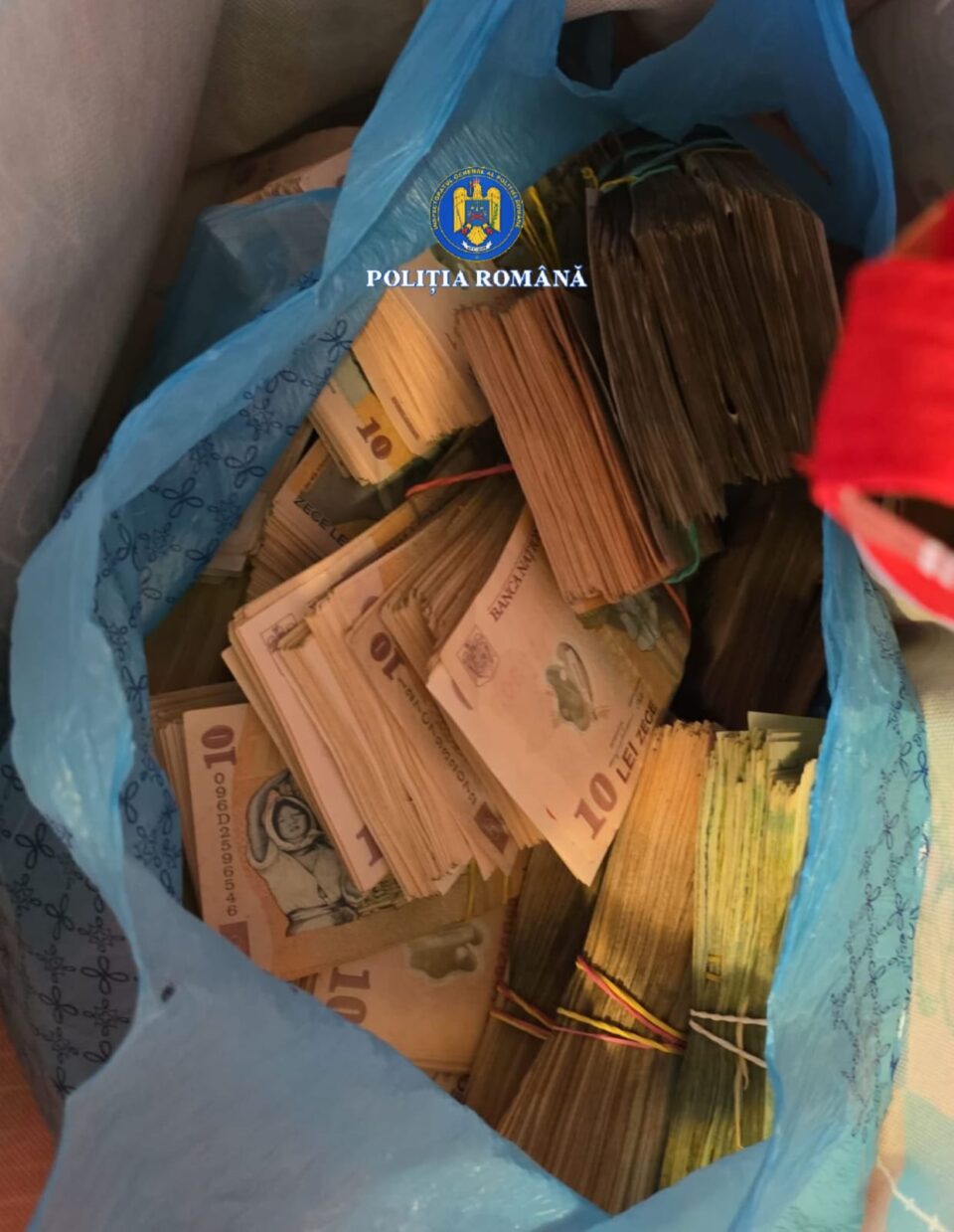 130.000 de euro, ridicați de la un pădurar, după 18 percheziții privind afaceri ilegale cu lemn