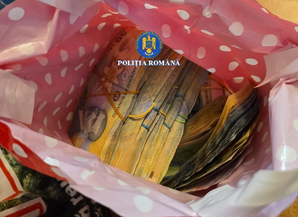 130.000 de euro, ridicați de la un pădurar, după 18 percheziții privind afaceri ilegale cu lemn