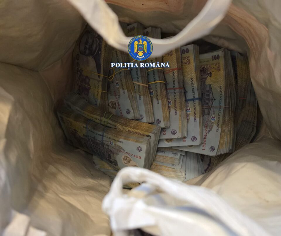 130.000 de euro, ridicați de la un pădurar, după 18 percheziții privind afaceri ilegale cu lemn