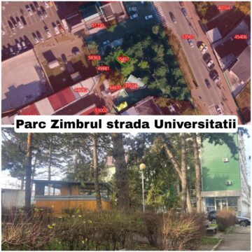 Viceprimarul Cușnir acuză „împroprietările dubioase” din parcuri și dintre blocuri, care „sufocă orașul”