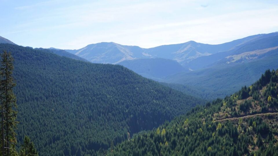 ASFOR către Guvernul Bolojan: „Nu blocați o resursă care aduce 3,5% din PIB” ASFOR către Guvernul Bolojan: „Nu blocați o resursă care aduce 3,5% din PIB”