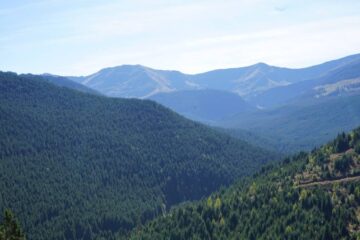 ASFOR către Guvernul Bolojan: „Nu blocați o resursă care aduce 3,5% din PIB” ASFOR către Guvernul Bolojan: „Nu blocați o resursă care aduce 3,5% din PIB”