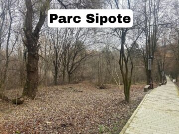 Viceprimarul Cușnir acuză „împroprietările dubioase” din parcuri și dintre blocuri, care „sufocă orașul”