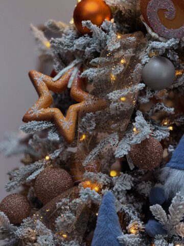 Queen Concept Flowers: Brazi de închiriat, decorațiuni spectaculoase și amenajări de Crăciun